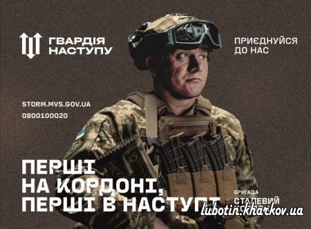 Міністерство внутрішніх справ України розпочало формування штурмових бригад